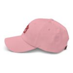 Anarchy Symbol Baseball Hat Punk Rock Embroidered Cap